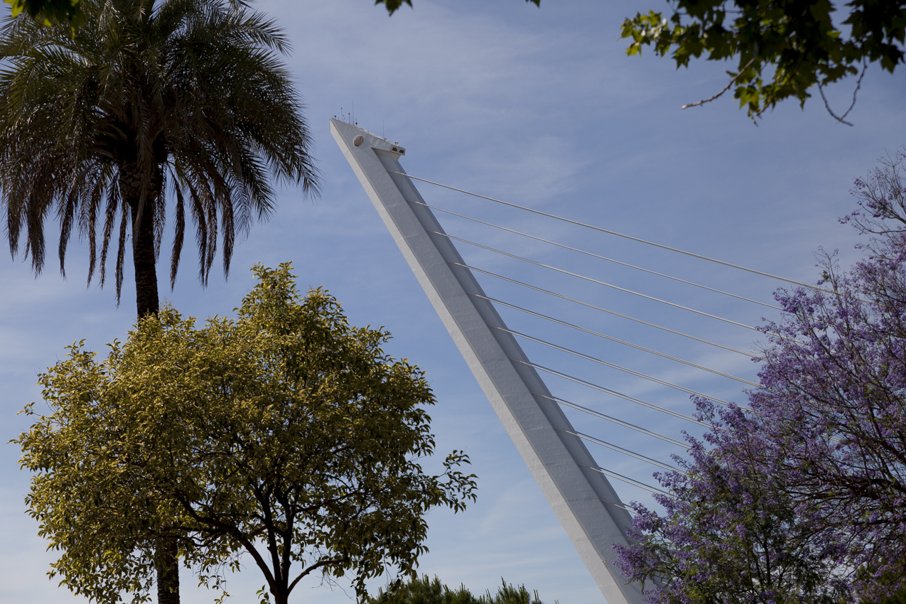 Siviglia - Ponte Calatrava