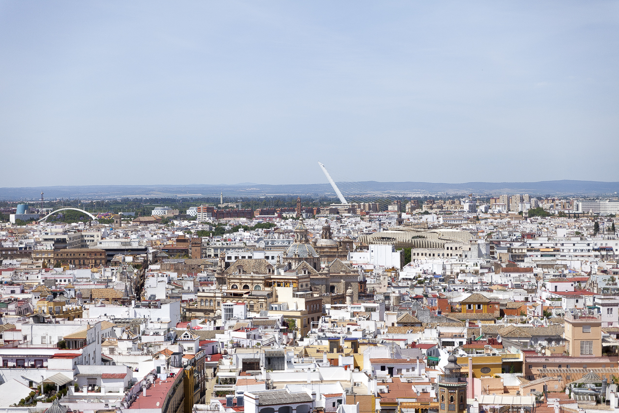 Siviglia -  Vista panoramica dalla torre Giralda