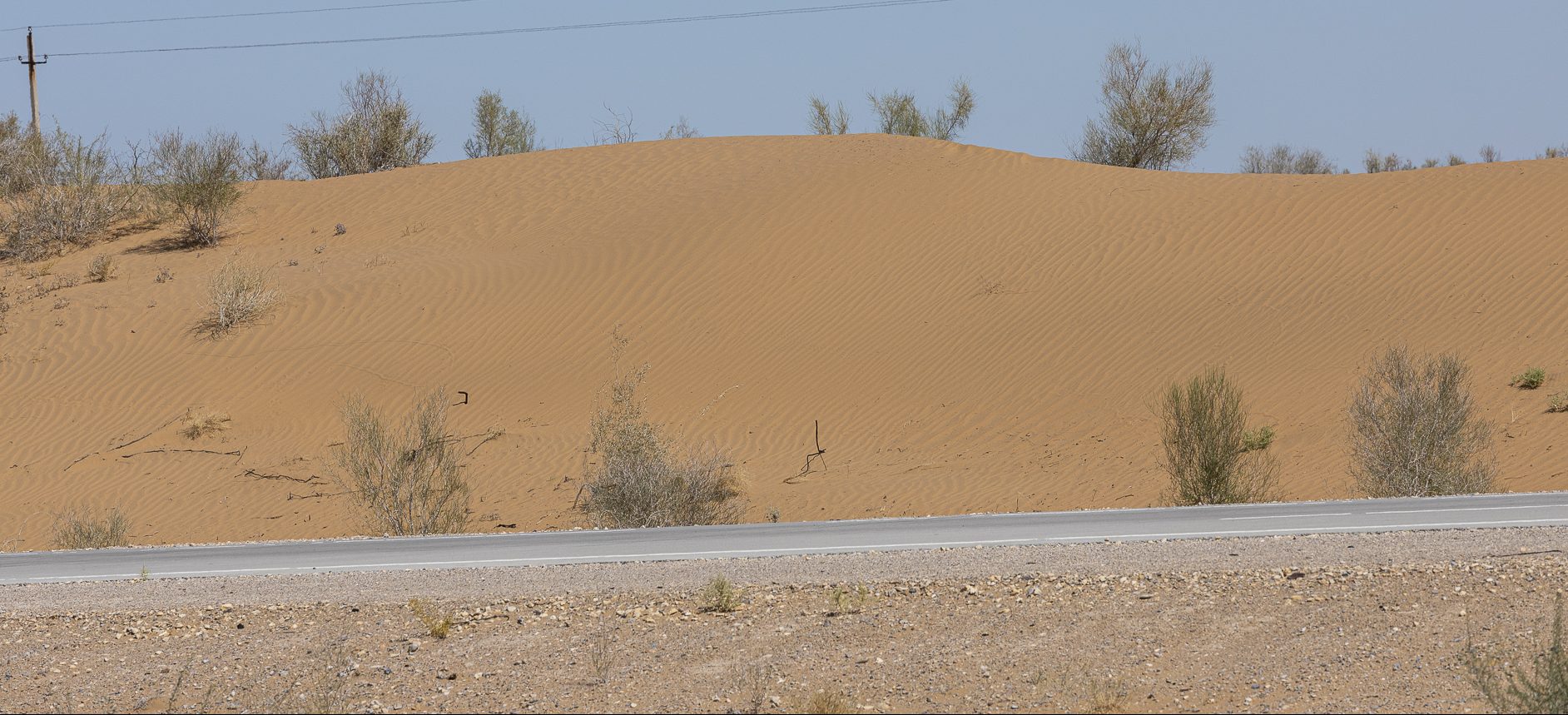 Deserto rosso di Kyzilkum in Uzbekistan e palazzo d’estate