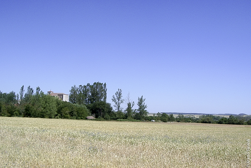 Cammino di Santiago - Atapuerca