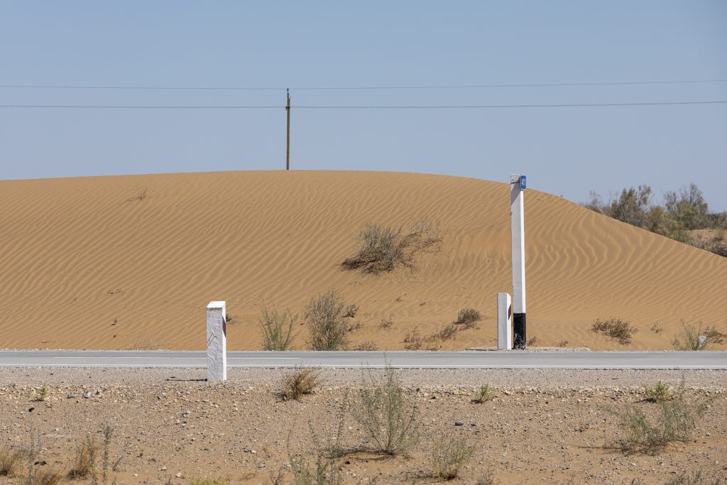 Deserto rosso Kyzilkum
