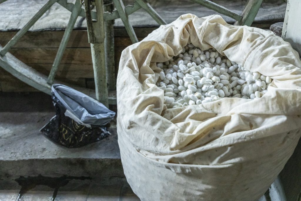 Marghilon - Yodgorlik Silk Factory - Uzbekistan
