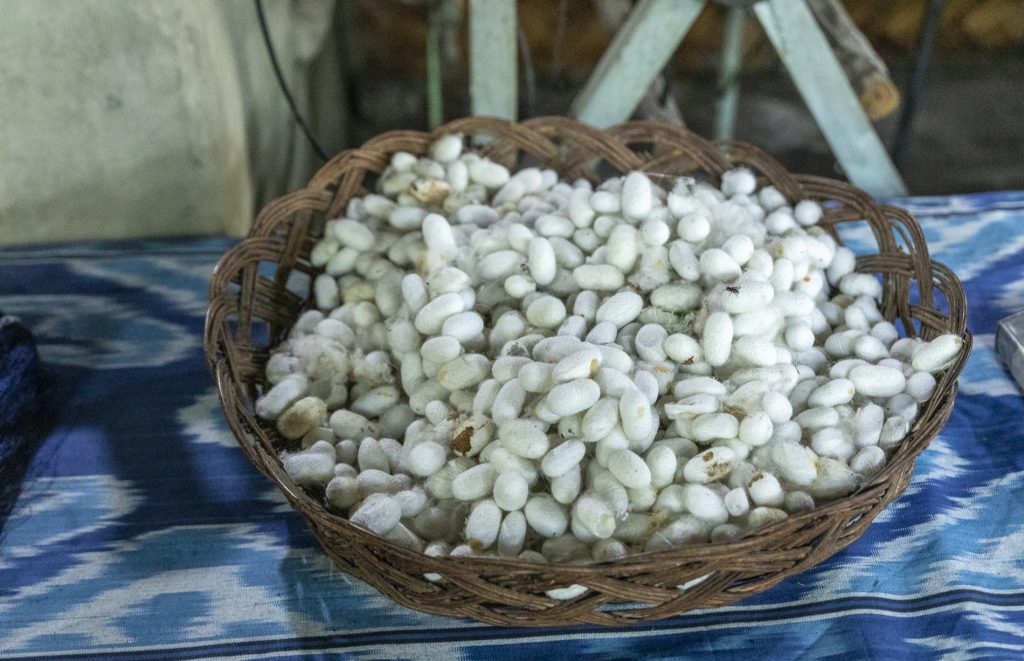 Marghilon - Yodgorlik Silk Factory - Uzbekistan